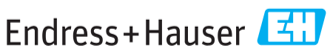 Endress Hauser